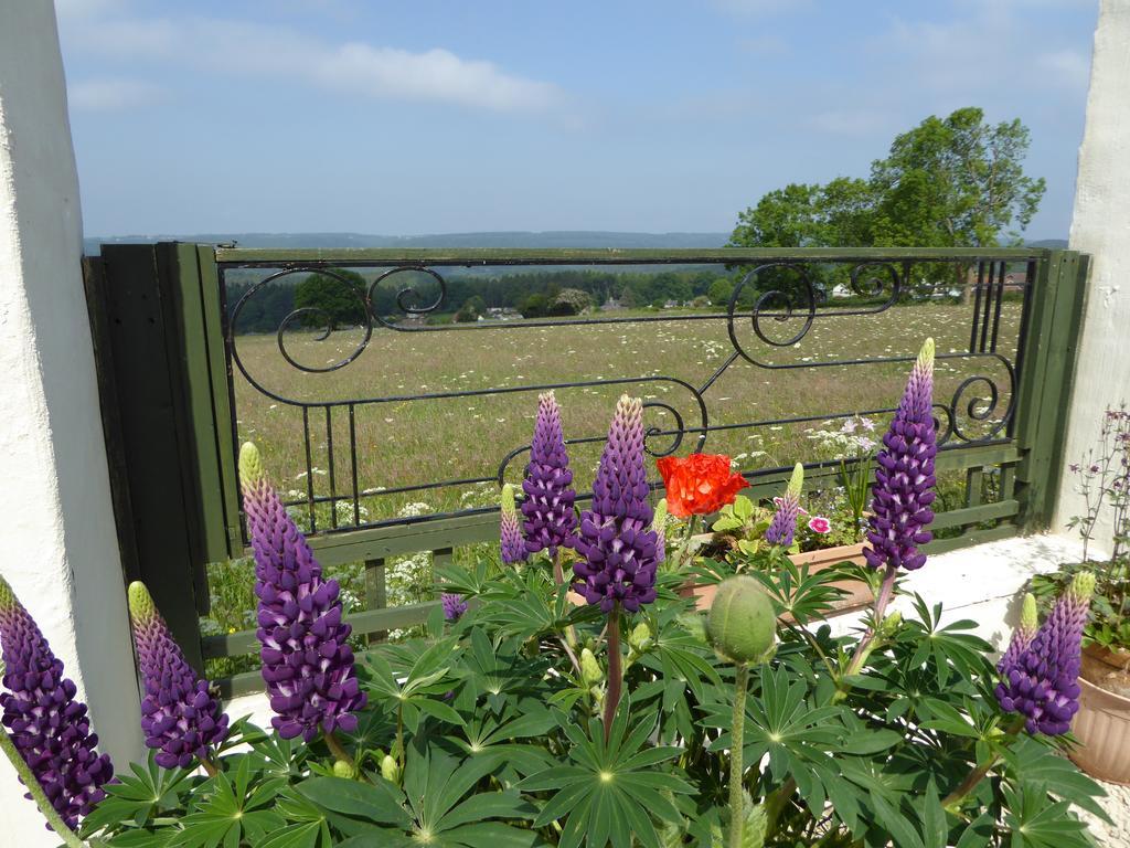 Dean Valley Panorama Bed & Breakfast Lydney Luaran gambar