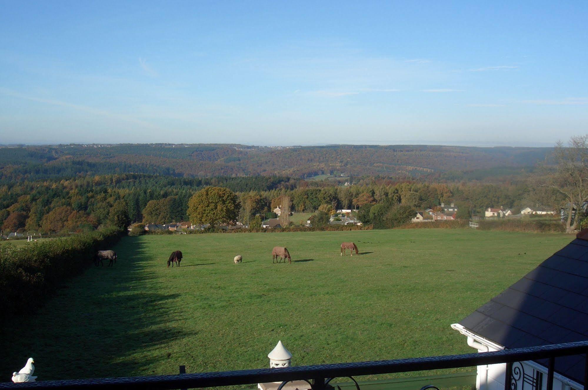 Dean Valley Panorama Bed & Breakfast Lydney Luaran gambar